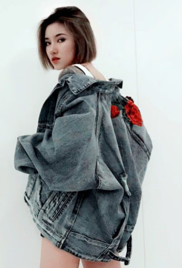 3D Rose Embroidered Vintage Ripped Denim Jacket - detail view