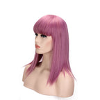Anime Cosplay Wig with Bangs and Long Straight Hair - front view