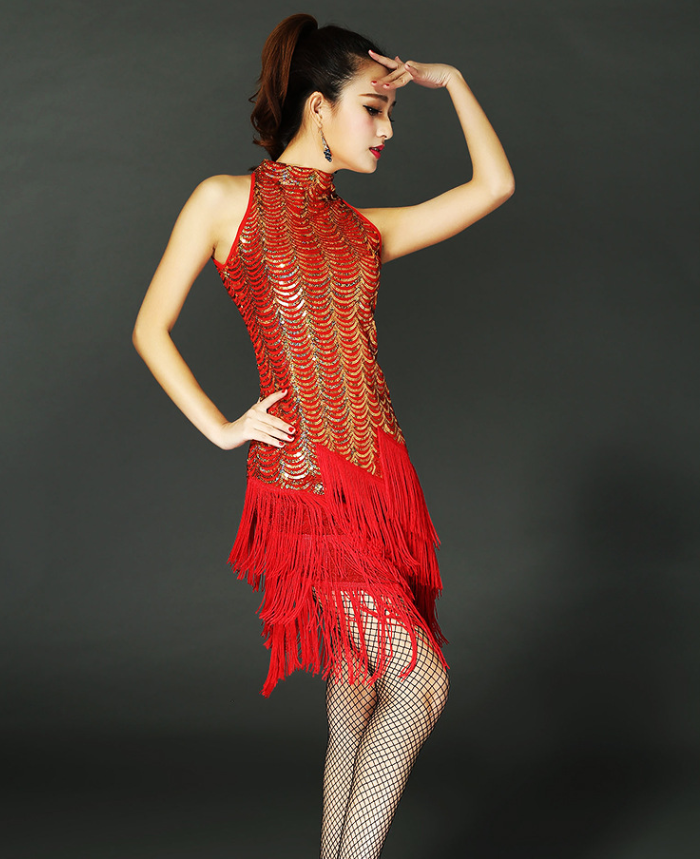 Latin Dance Costume Skirt Set - Stage Performance Outfit